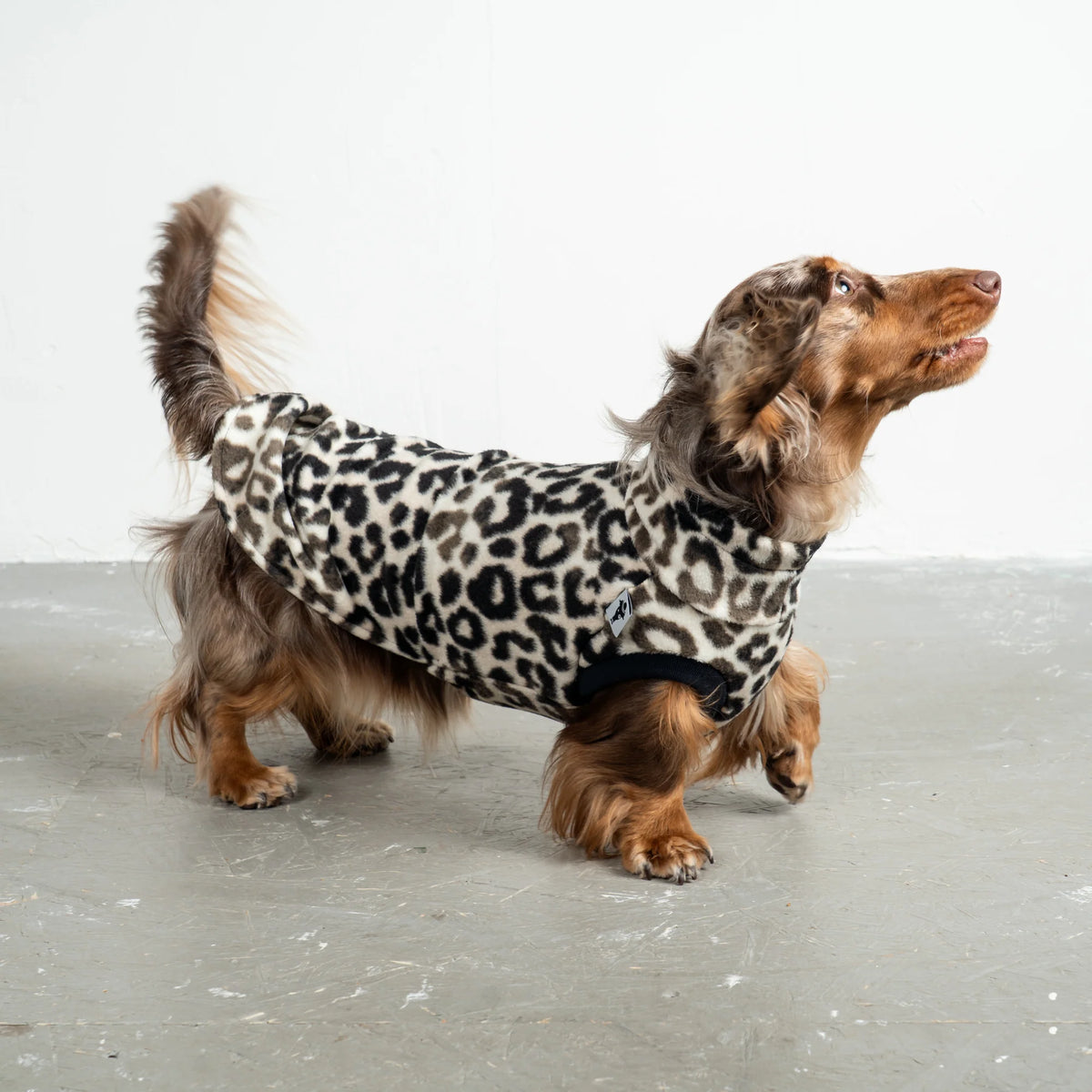 Karma Hund Fleece Shirt DACKEL Leo