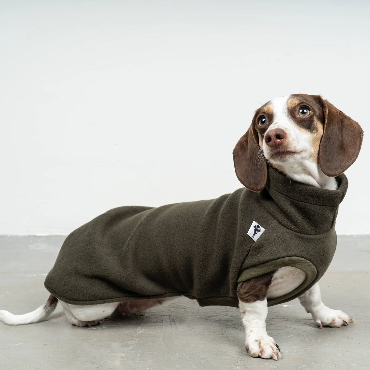 Karma Hund Fleece Shirt DACKEL Olivgrün
