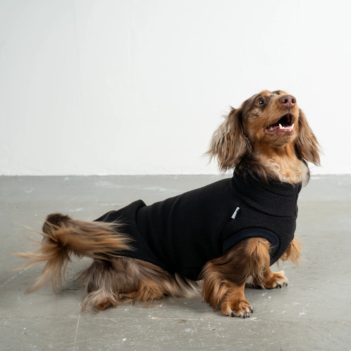 Karma Hund Fleece Shirt DACKEL Schwarz