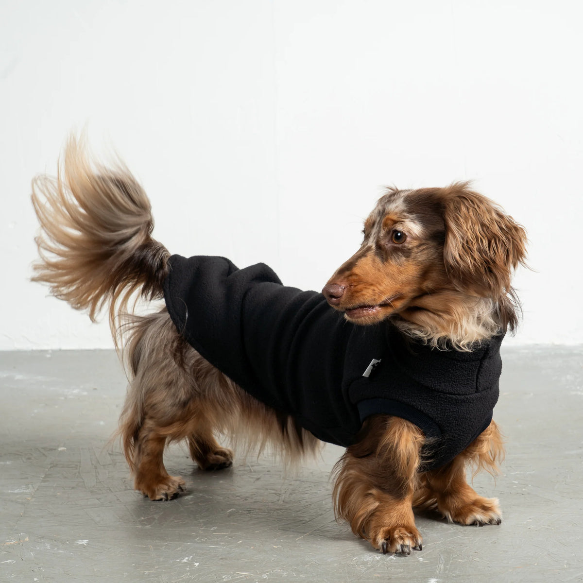 Karma Hund Fleece Shirt DACKEL Schwarz