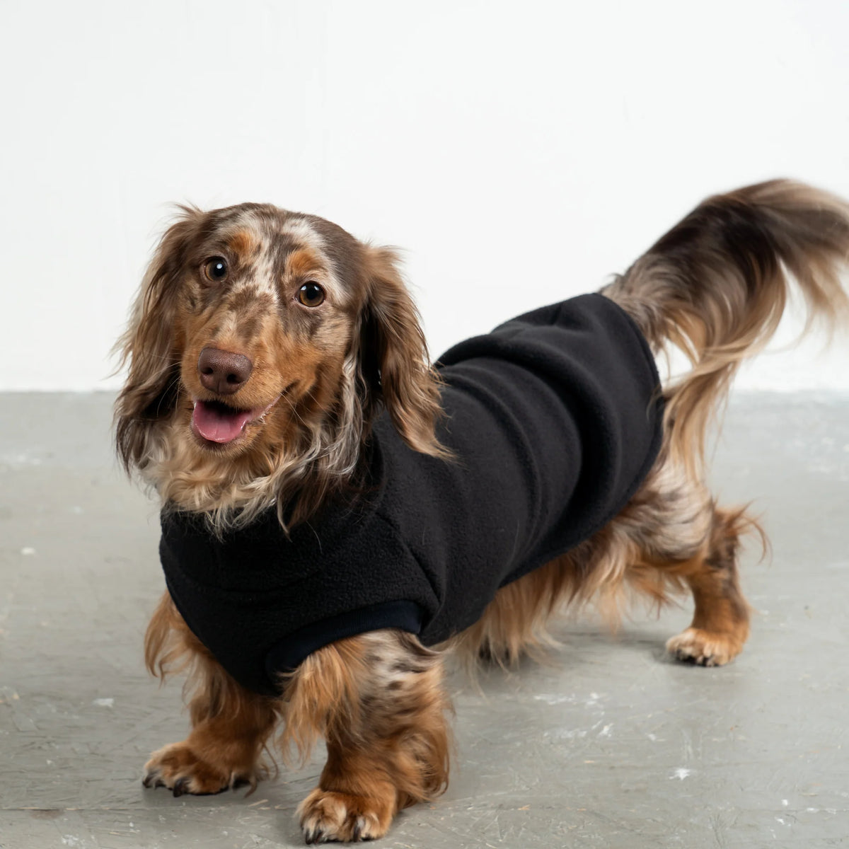 Karma Hund Fleece Shirt DACKEL Schwarz
