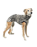 Karma Hund Fleece Shirt WINDHUND Leo