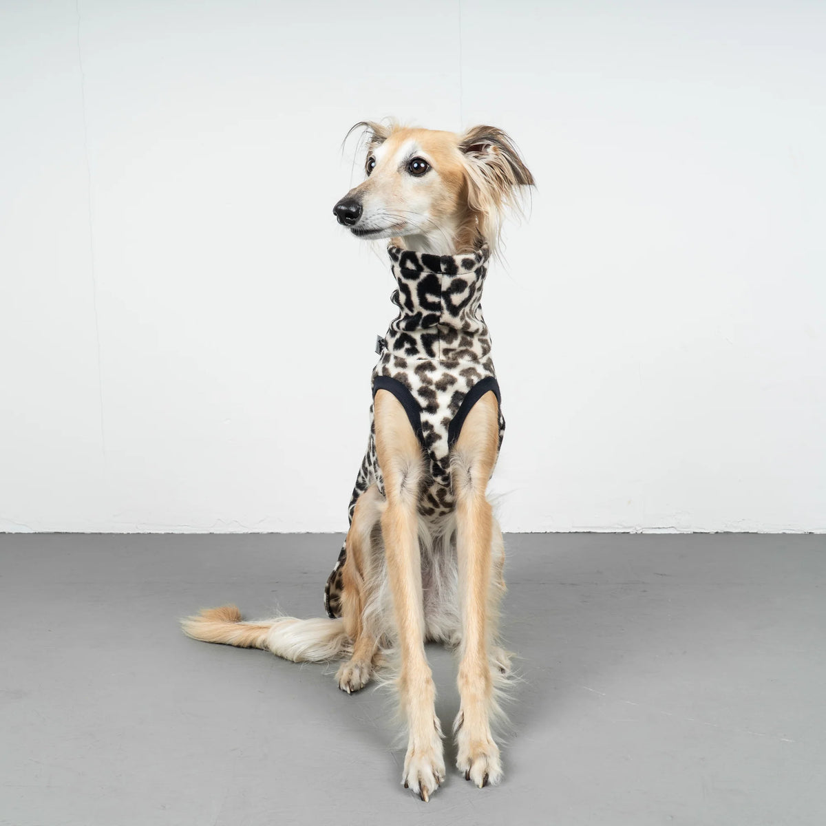 Karma Hund Fleece Shirt WINDHUND Leo