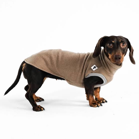 Karma Hund Fleece Shirt DACKEL Walnut