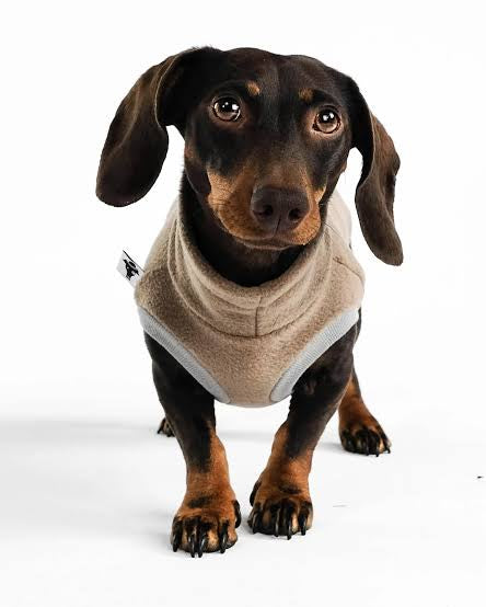 Karma Hund Fleece Shirt DACKEL Walnut