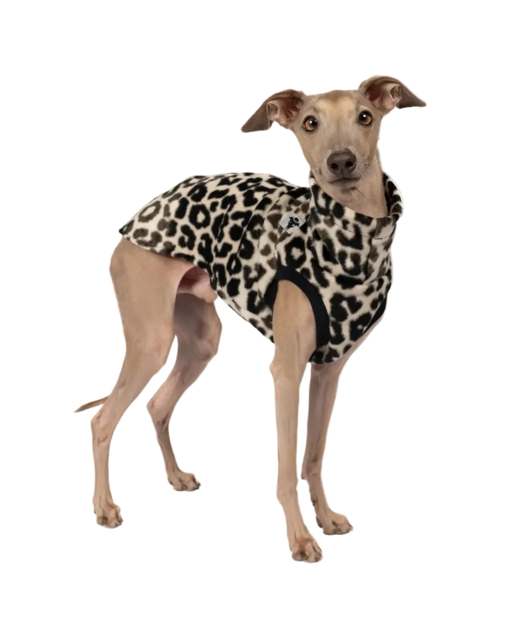 Karma Hund Fleece Shirt WINDSPIEL Leo