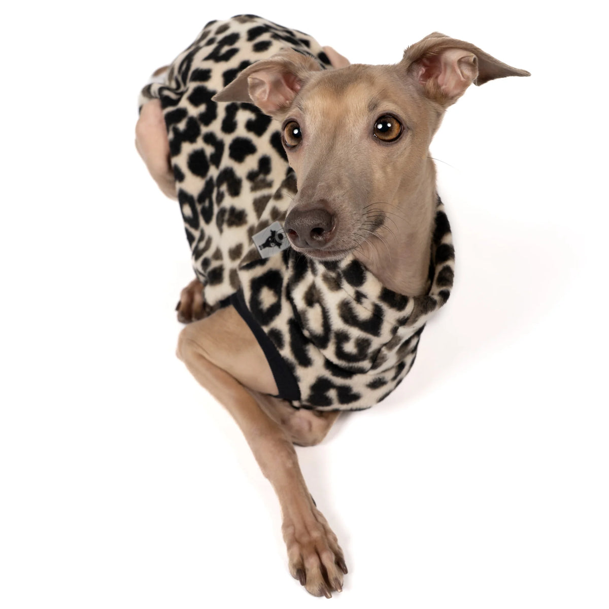 Karma Hund Fleece Shirt WINDSPIEL Leo