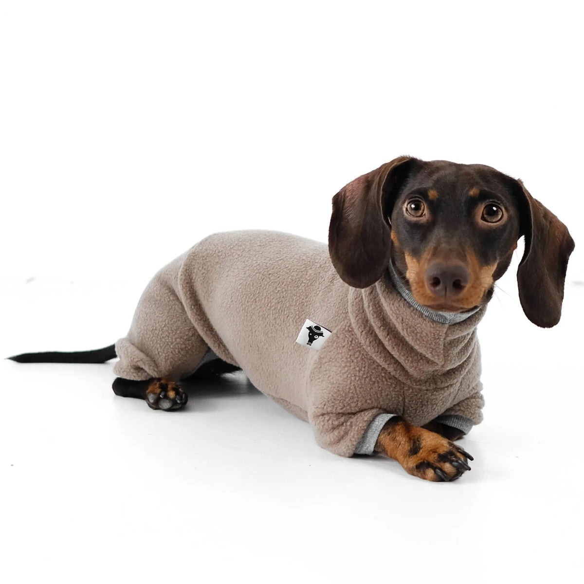 Karma Hund Overall DACKEL Taupe