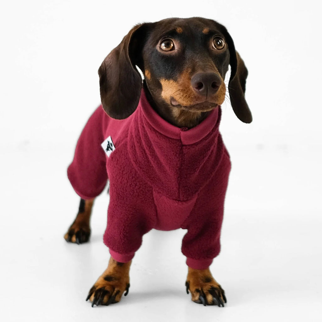 Karma Hund Overall DACKEL Weinrot