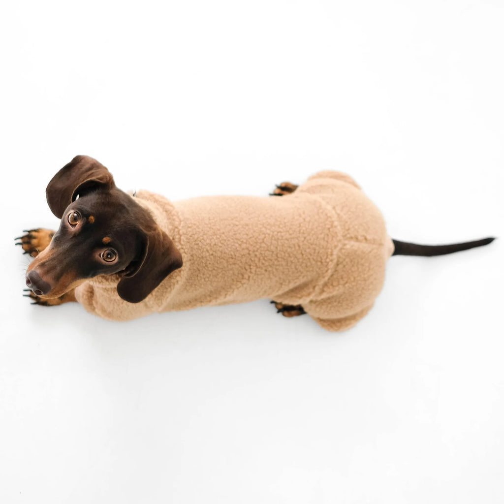 Karma Hund Overall DACKEL Camel Teddy