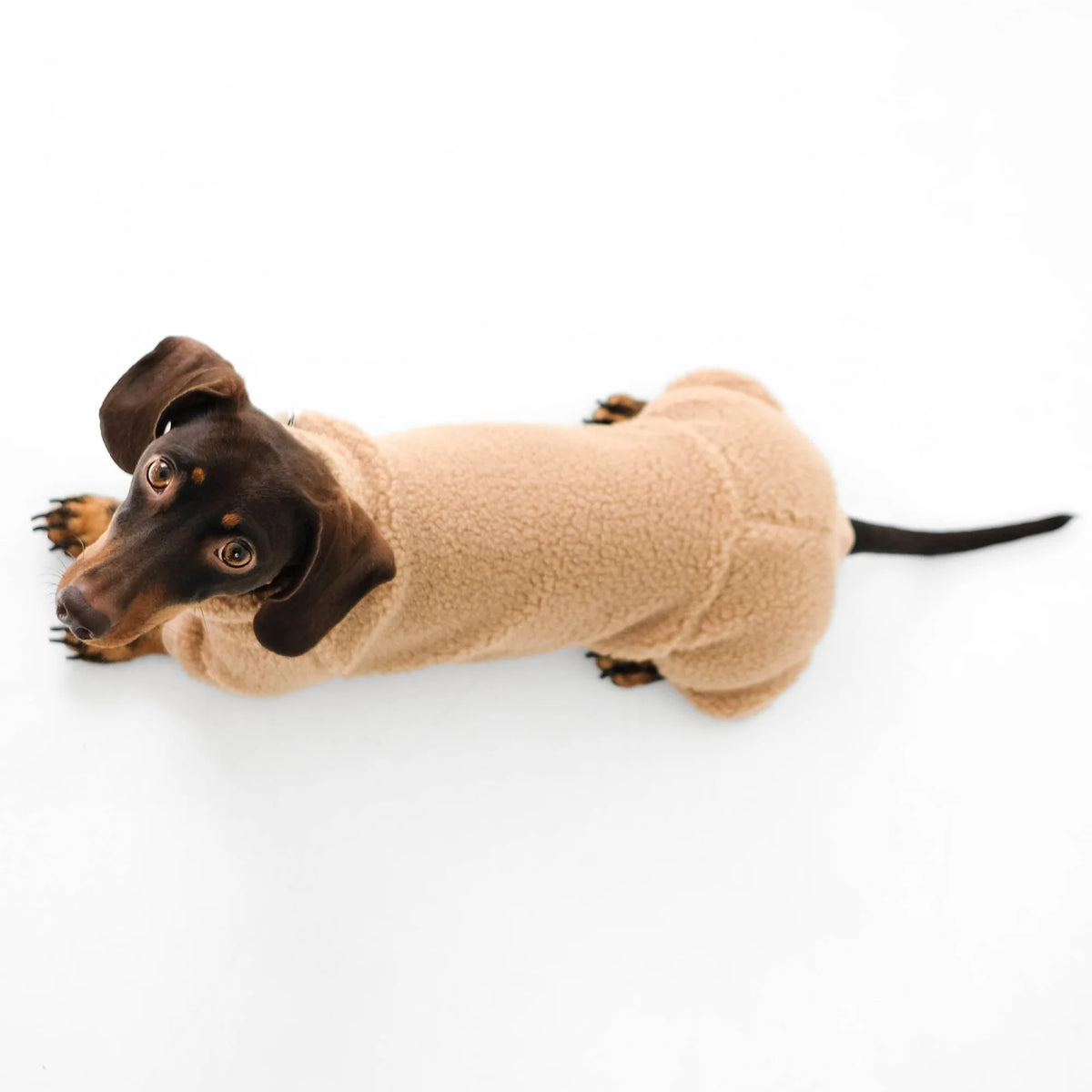 Karma Hund Overall DACKEL Camel Teddy