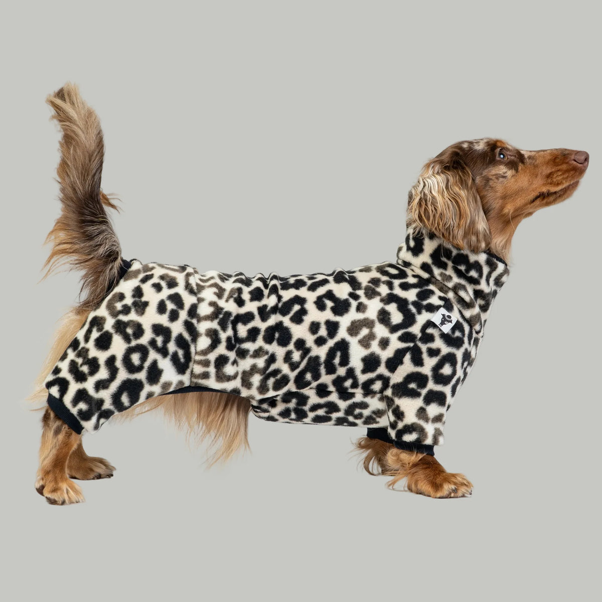 Karma Hund Overall DACKEL Leo