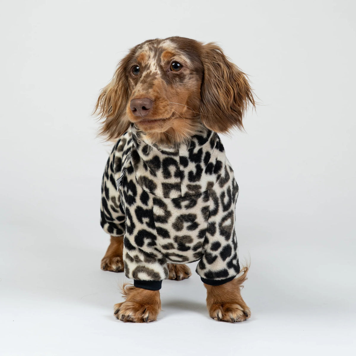 Karma Hund Overall DACKEL Leo