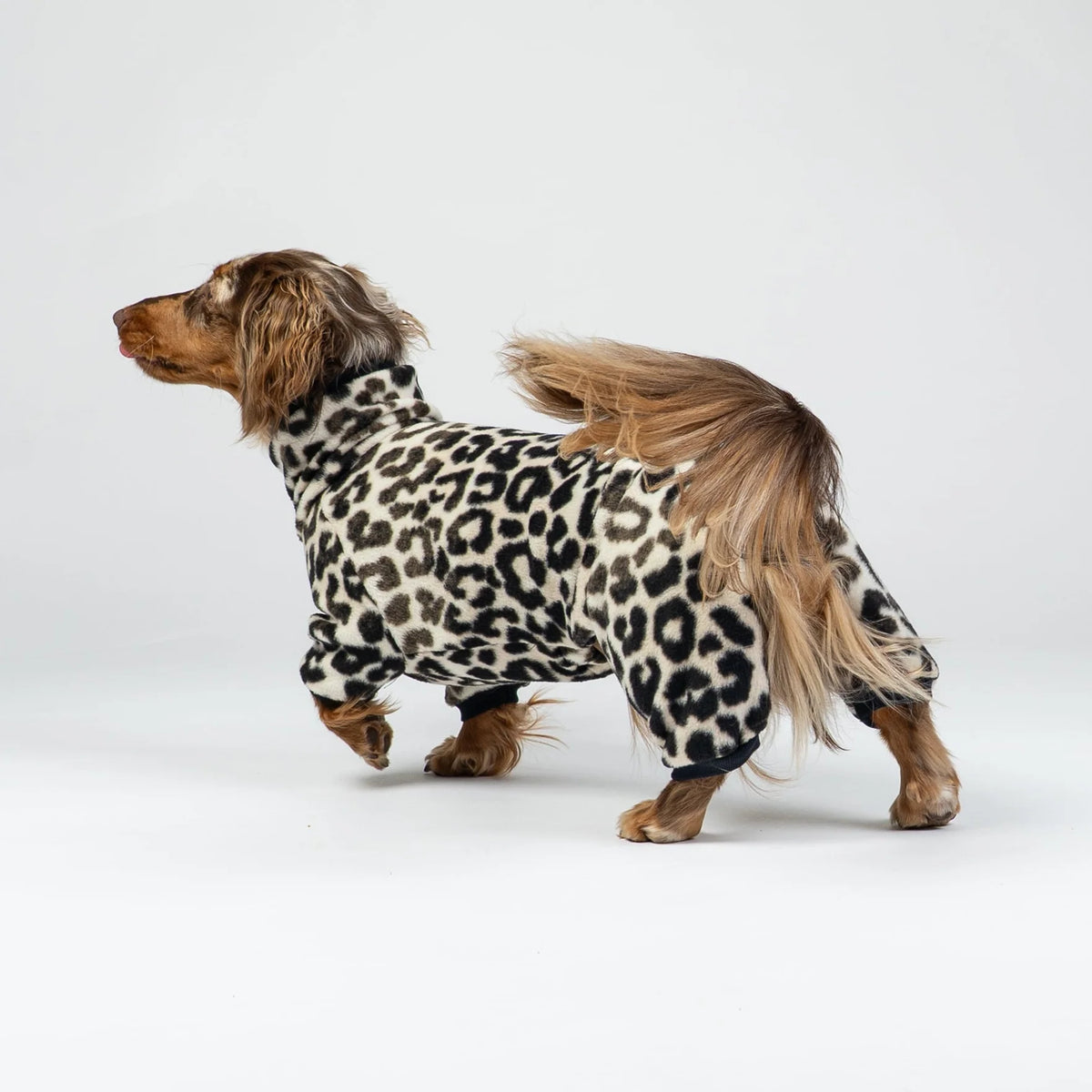 Karma Hund Overall DACKEL Leo