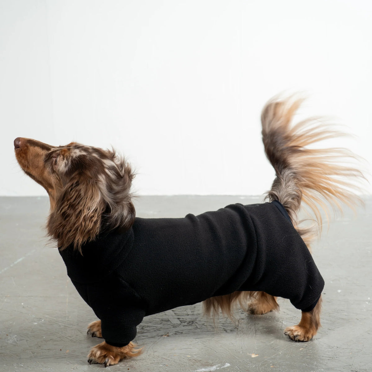 Karma Hund Overall DACKEL Schwarz