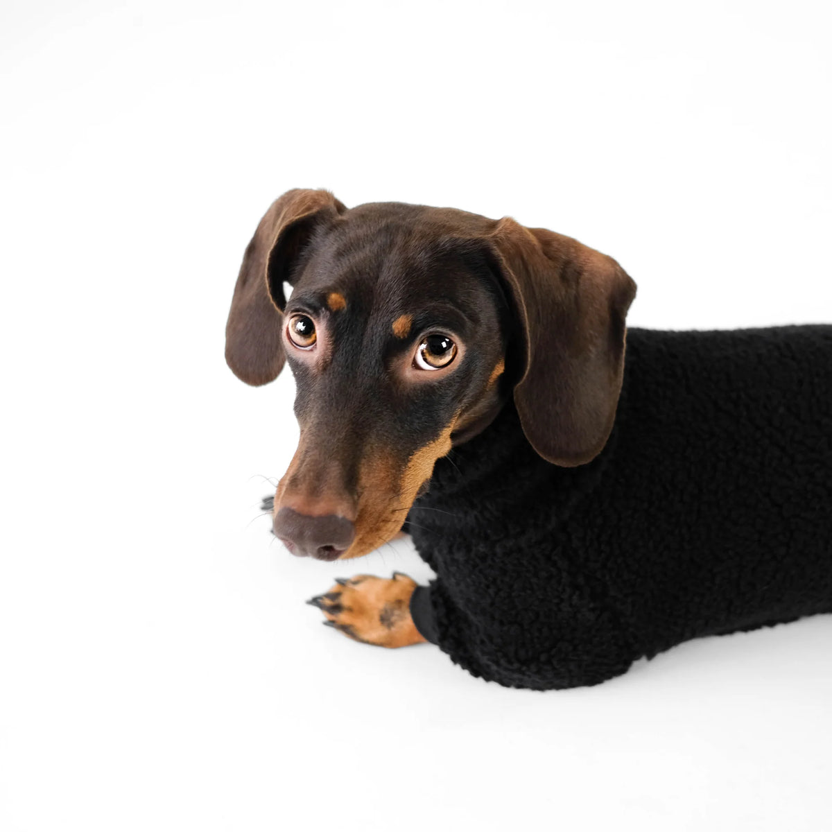 Karma Hund Overall DACKEL Schwarz Teddy