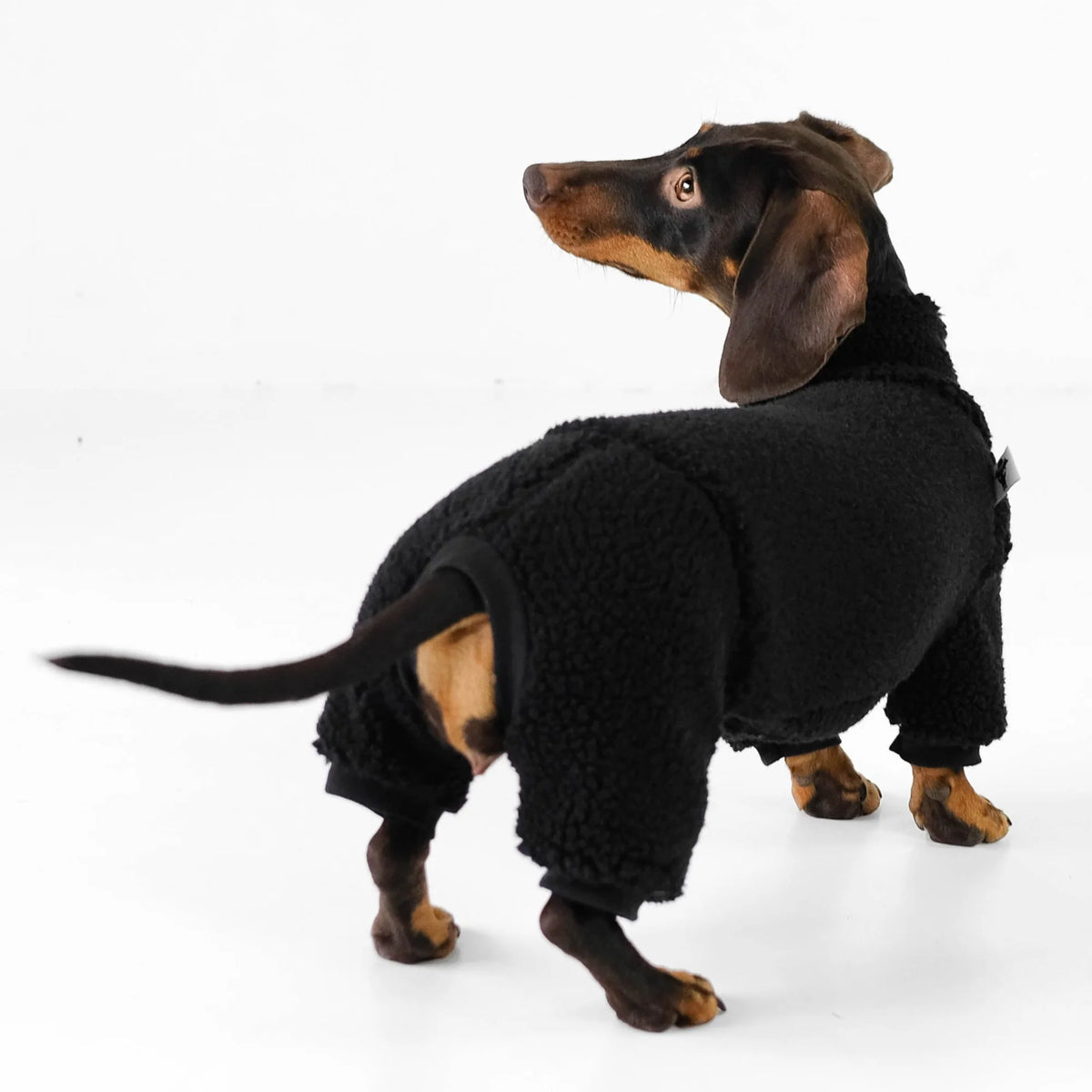 Karma Hund Overall DACKEL Schwarz Teddy