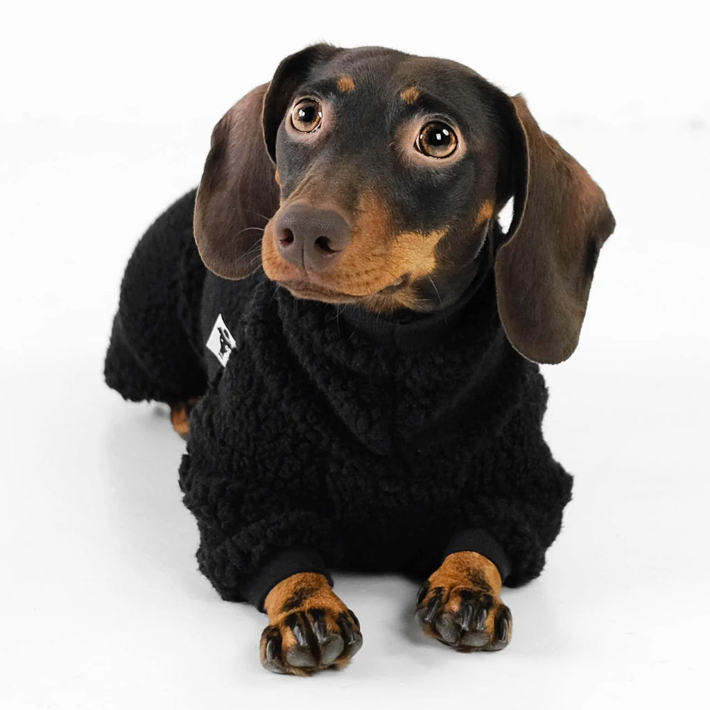 Karma Hund Overall DACKEL Schwarz Teddy