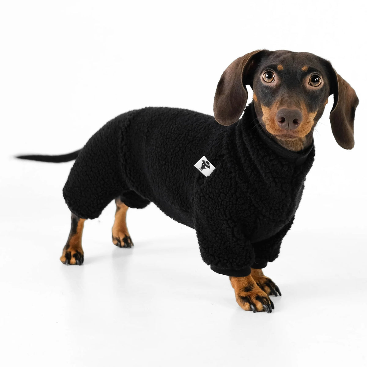 Karma Hund Overall DACKEL Schwarz Teddy