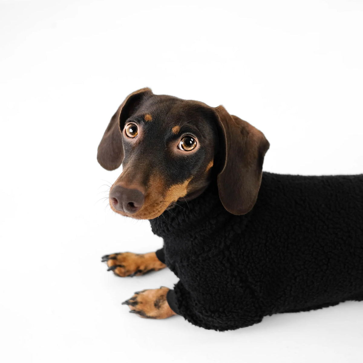 Karma Hund Overall DACKEL Schwarz Teddy