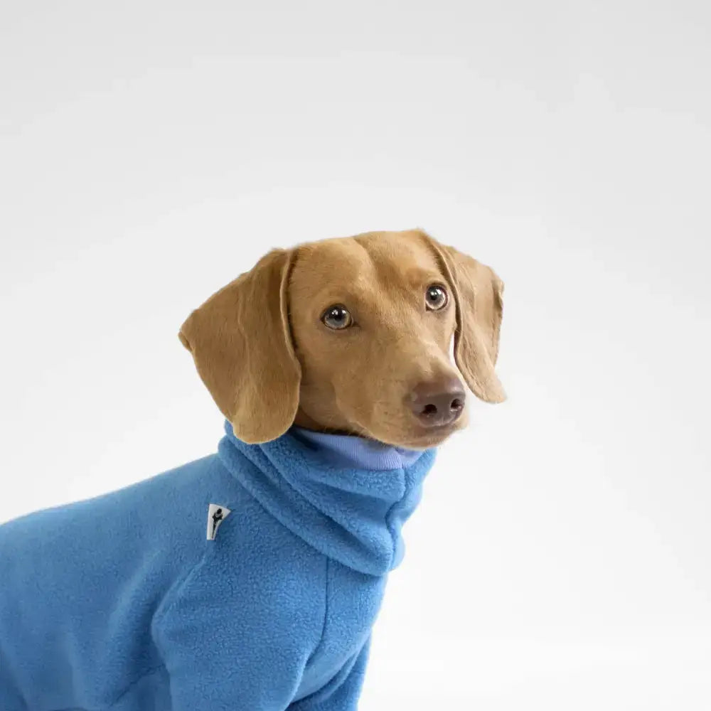 Karma Hund Fleece Overall DACKEL Sky Blue