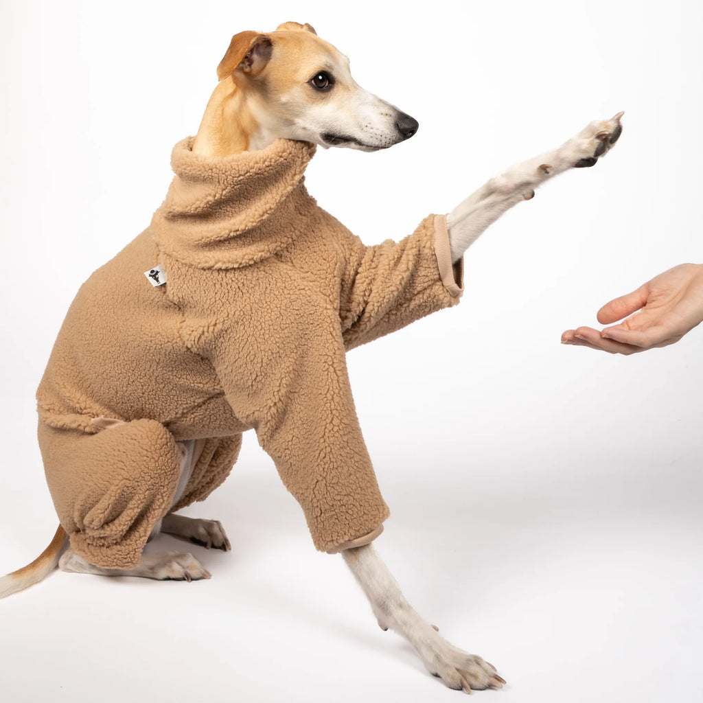 Karma Dog Overall GREYHOUND Camel Teddy