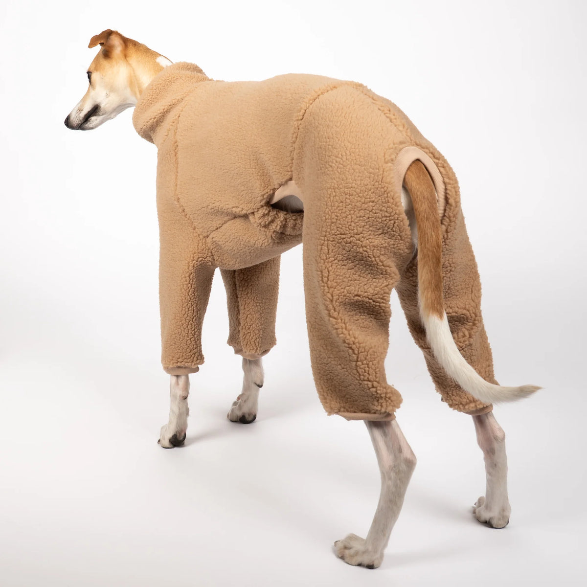Karma Dog Overall GREYHOUND Camel Teddy