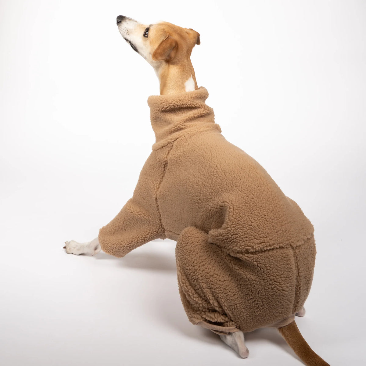 Karma Dog Overall GREYHOUND Camel Teddy