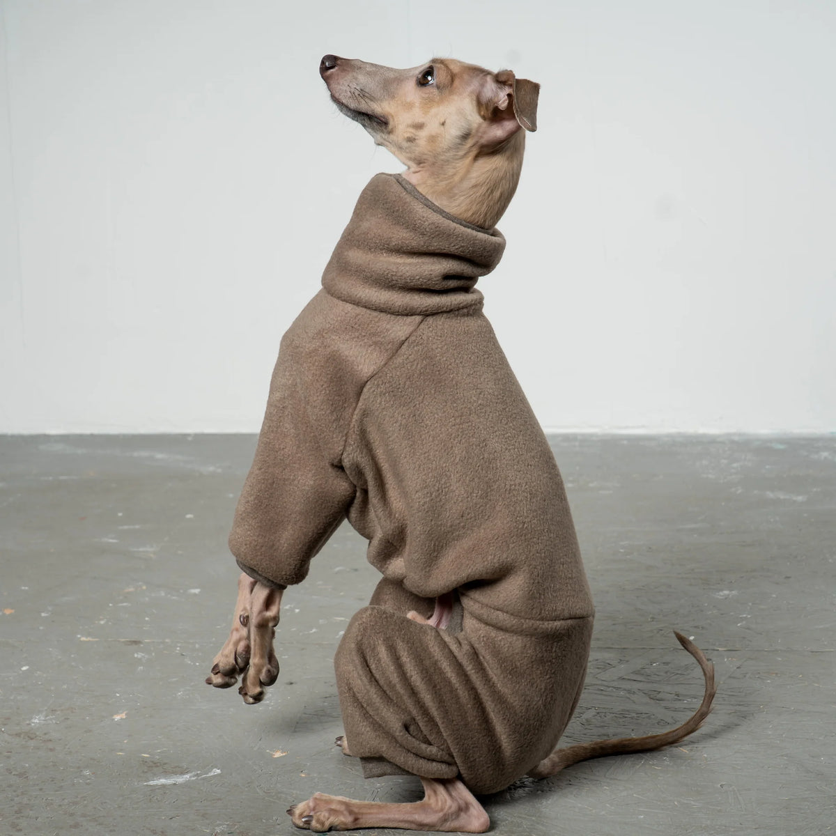 Karma Hund Fleece Overall WINDSPIEL Taupe