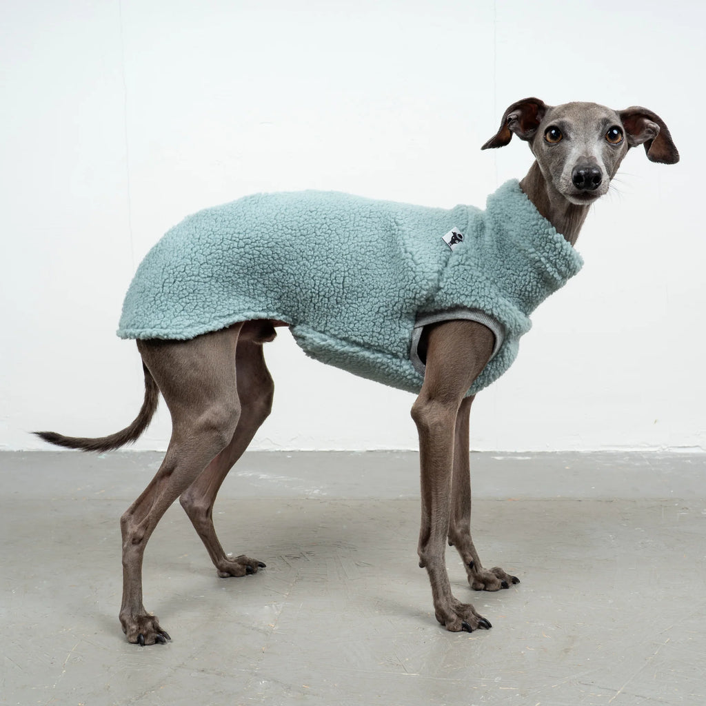 Karma Hund Teddy Shirt WINDSPIEL Mintblau