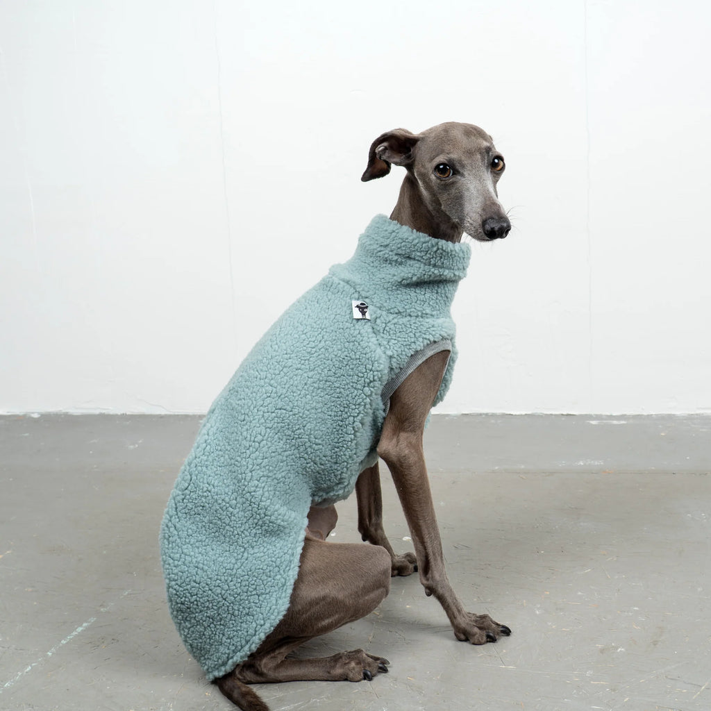 Karma Hund Teddy Shirt WINDSPIEL Mintblau