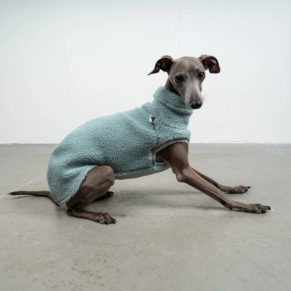 Karma Hund Teddy Shirt WINDSPIEL Mintblau