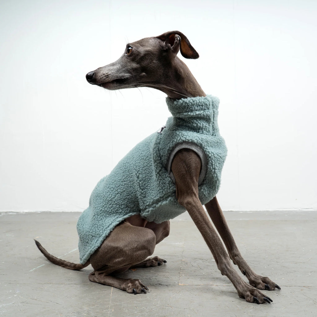 Karma Hund Teddy Shirt WINDSPIEL Mintblau