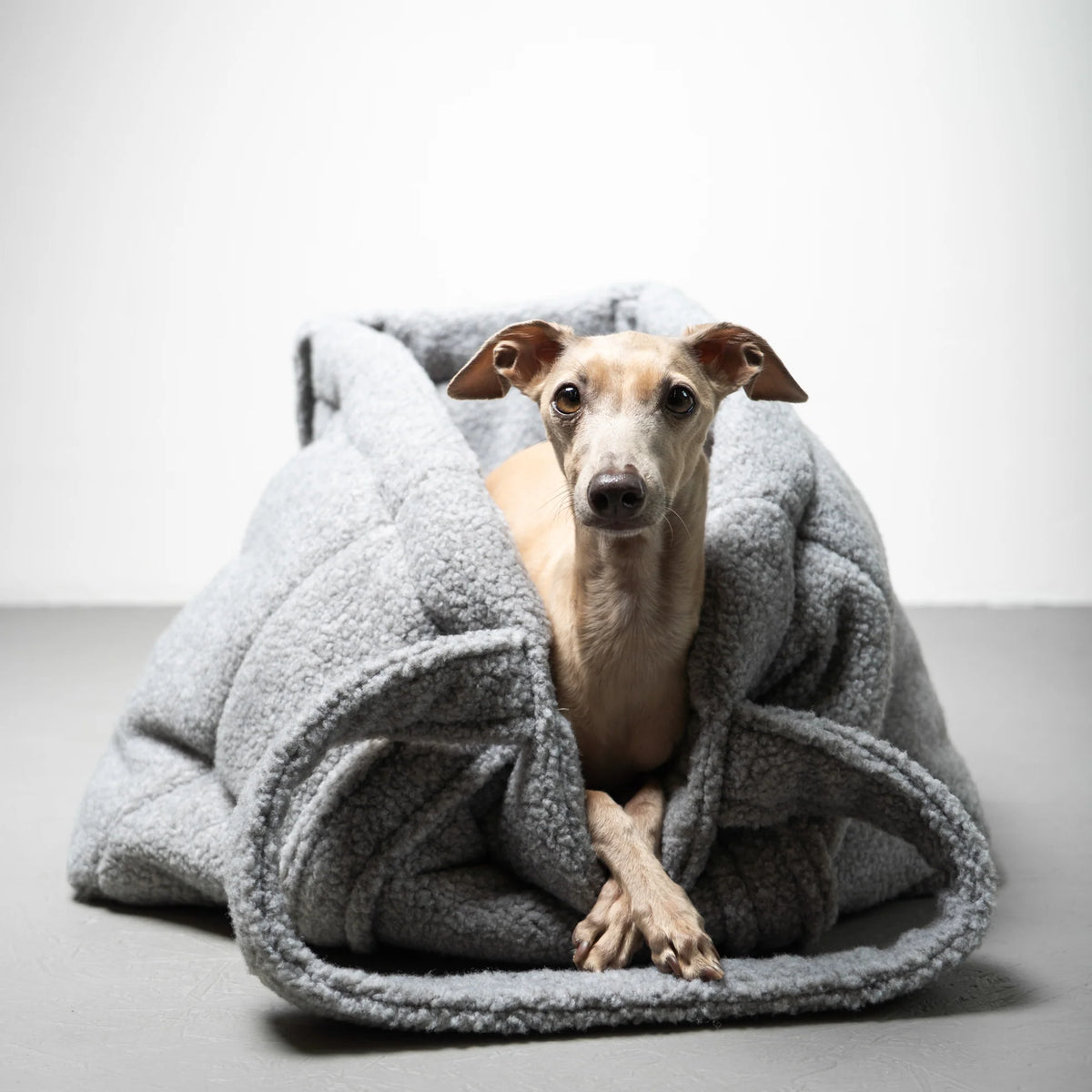 Karma Hund Shopper Grau Teddy