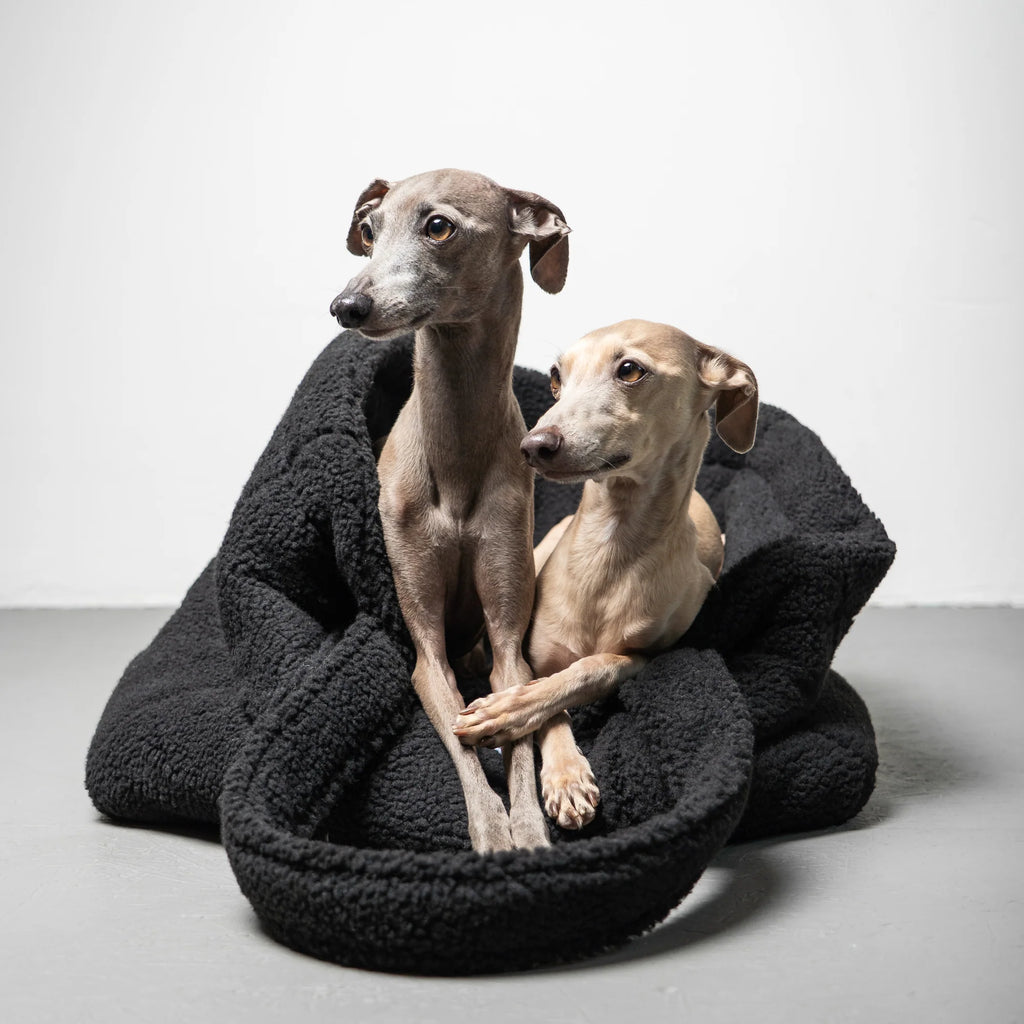 Karma Dog Shopper Black Teddy