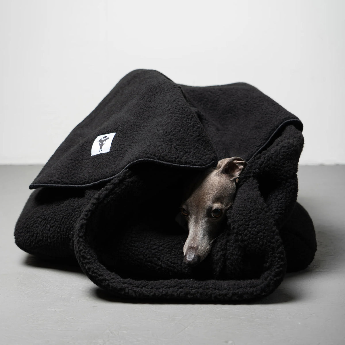 Karma Dog Shopper Black Teddy
