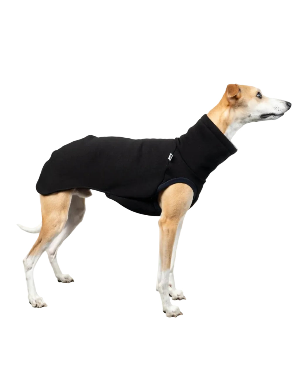 Karma Hund Sweat Shirt WINDHUND Schwarz