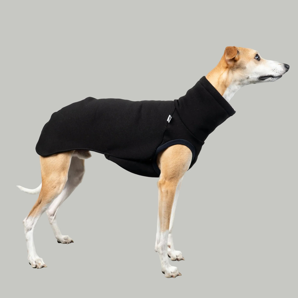 Karma Hund Sweat Shirt WINDHUND Schwarz
