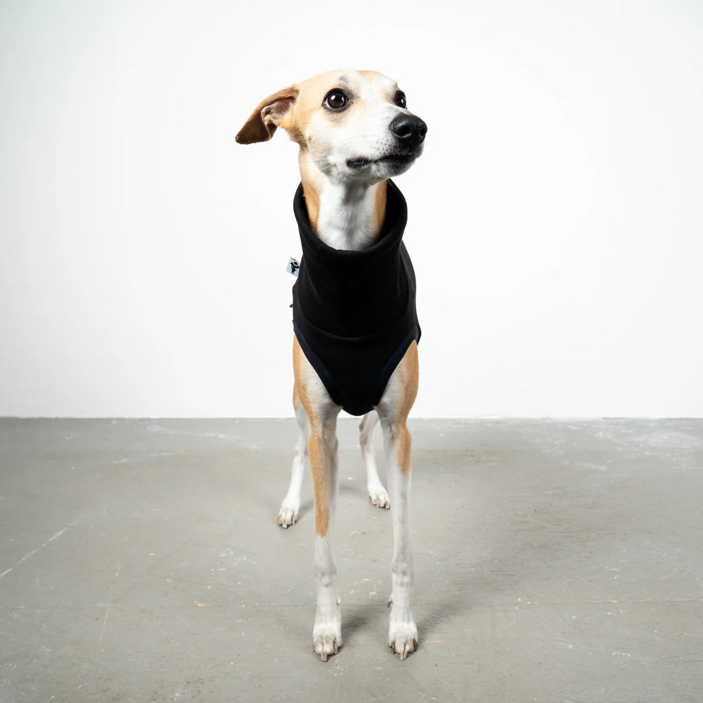 Karma Hund Sweat Shirt WINDHUND Schwarz