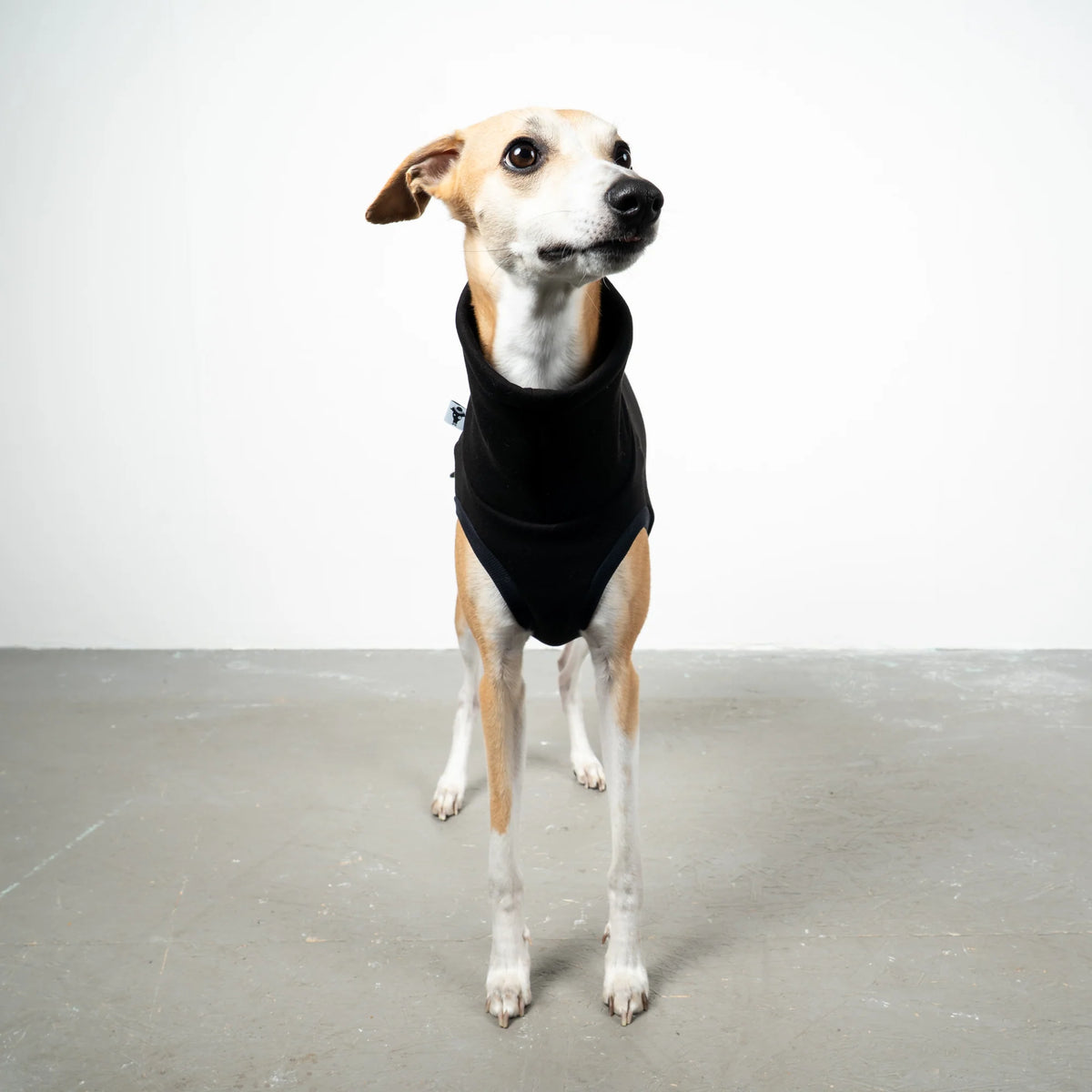 Karma Hund Sweat Shirt WINDHUND Schwarz