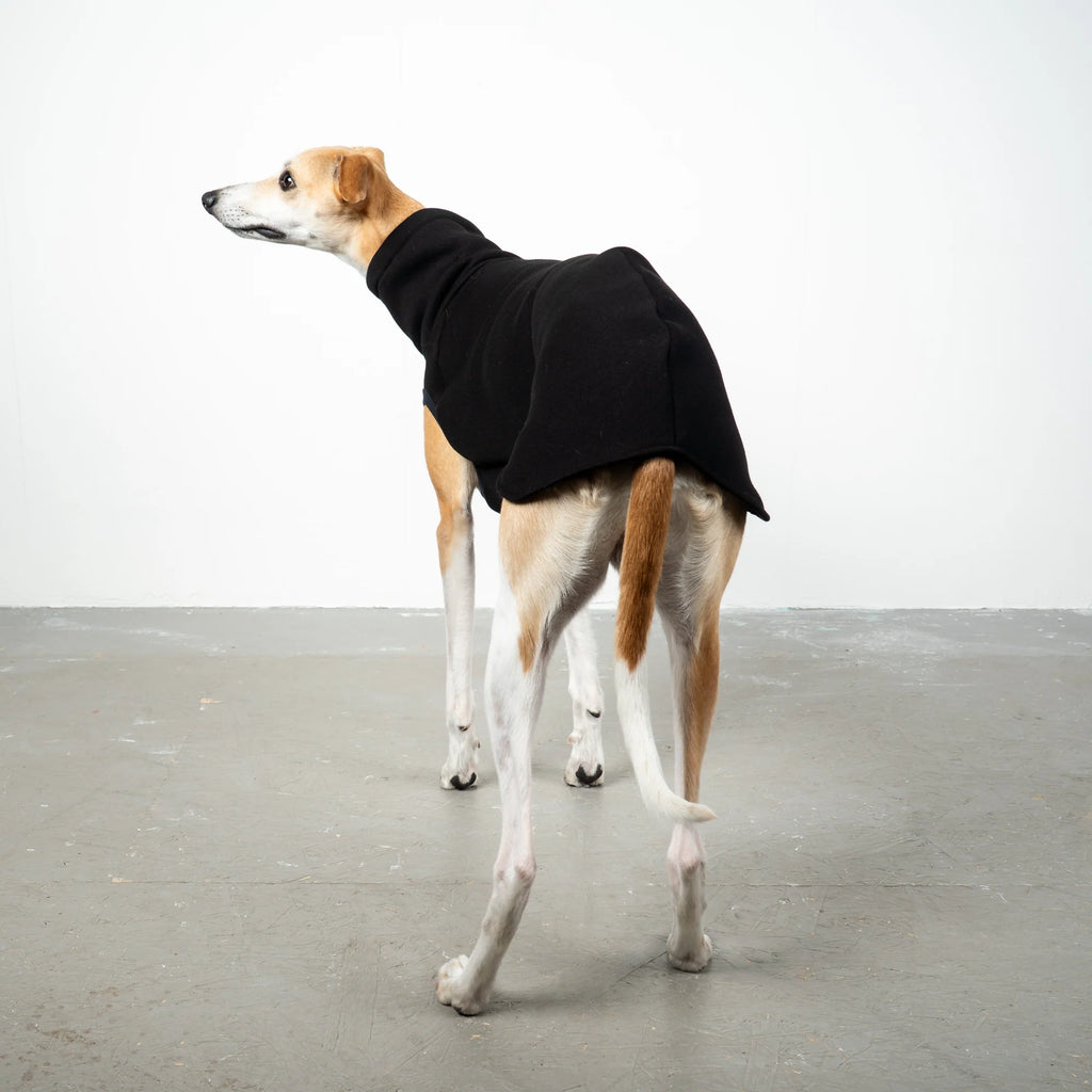 Karma Hund Sweat Shirt WINDHUND Schwarz