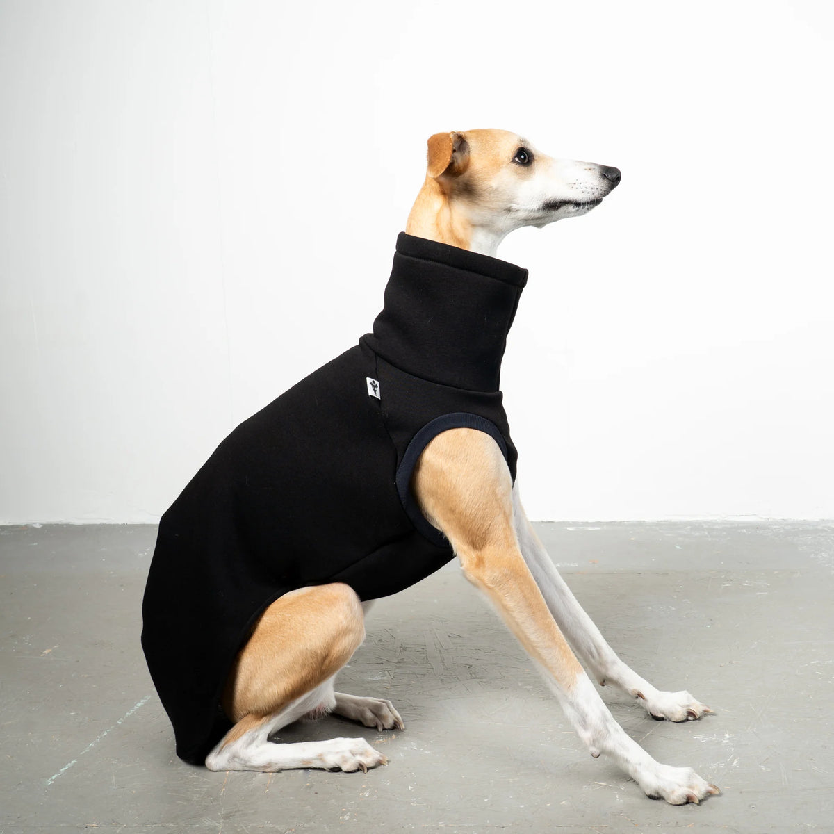Karma Hund Sweat Shirt WINDHUND Schwarz