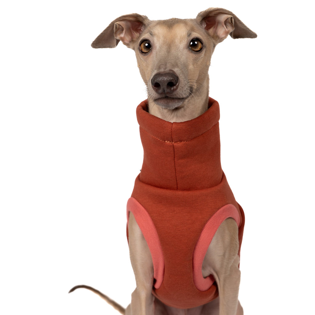 Karma Hund Sweat Shirt WINDSPIEL Terracotta