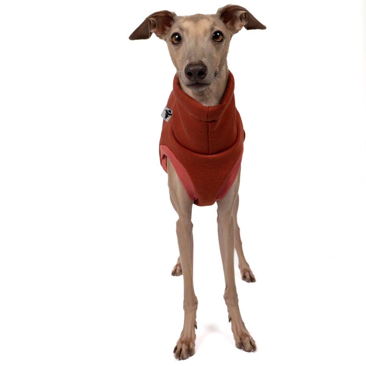 Karma Hund Sweat Shirt WINDSPIEL Terracotta