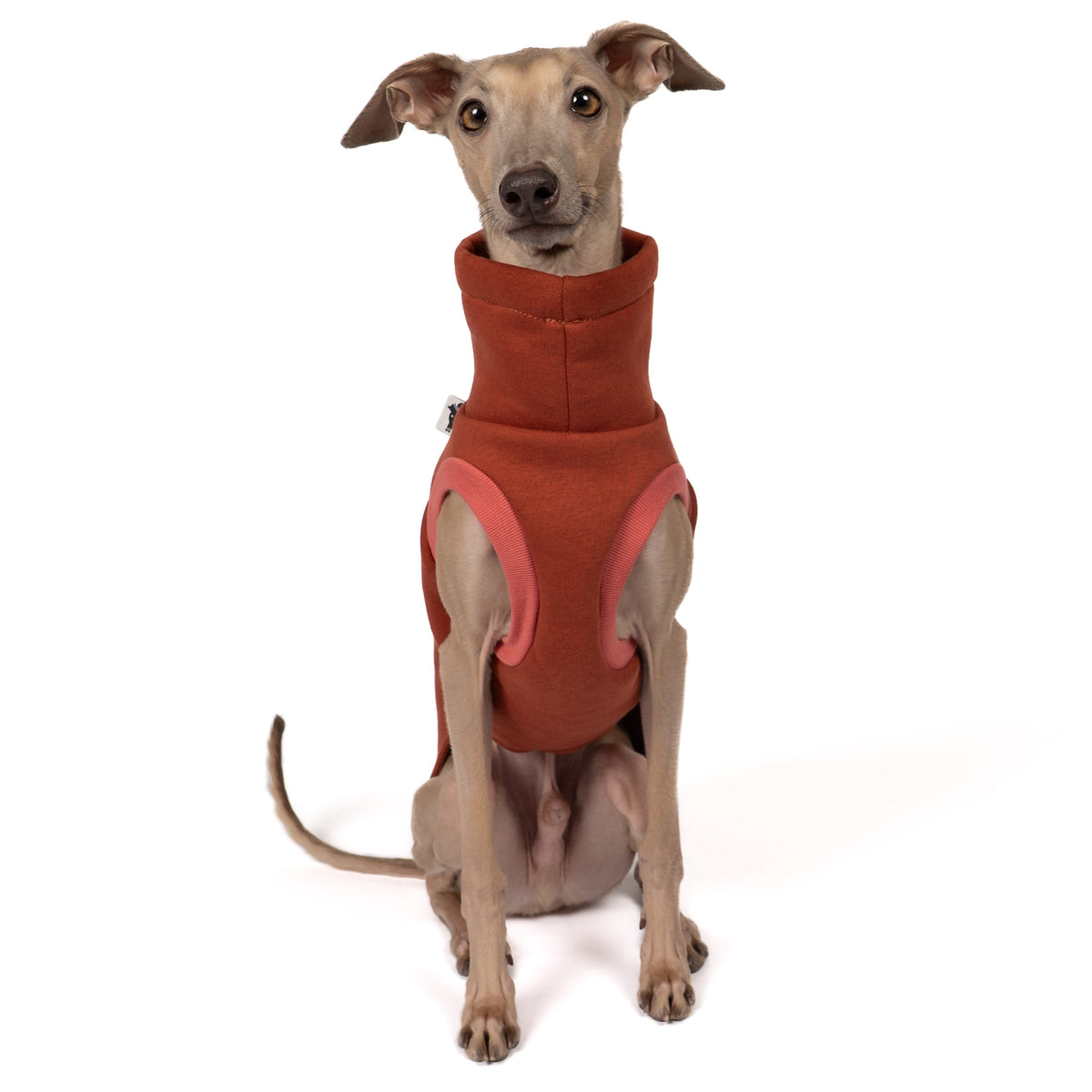 Karma Hund Sweat Shirt WINDSPIEL Terracotta