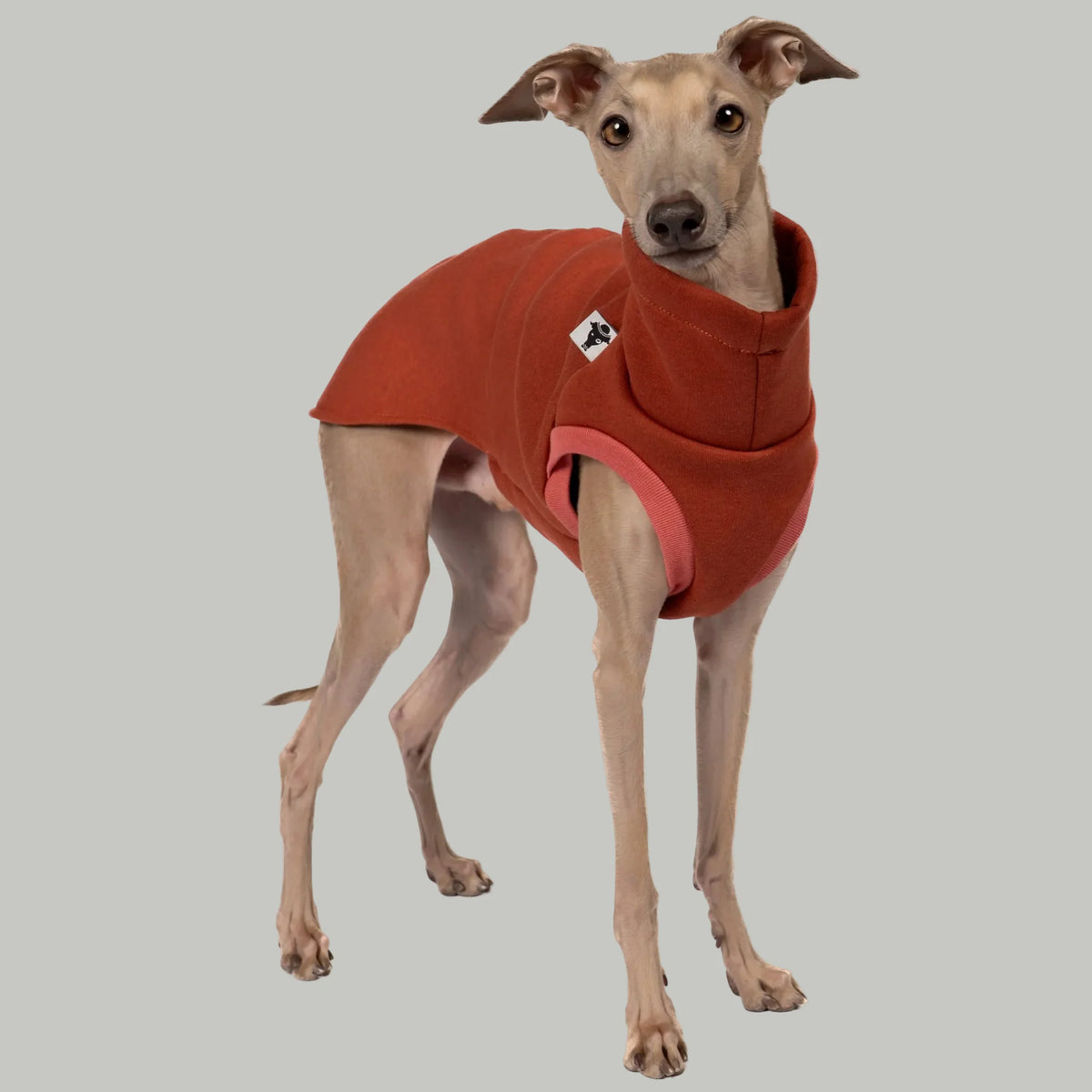 Karma Hund Sweat Shirt WINDSPIEL Terracotta