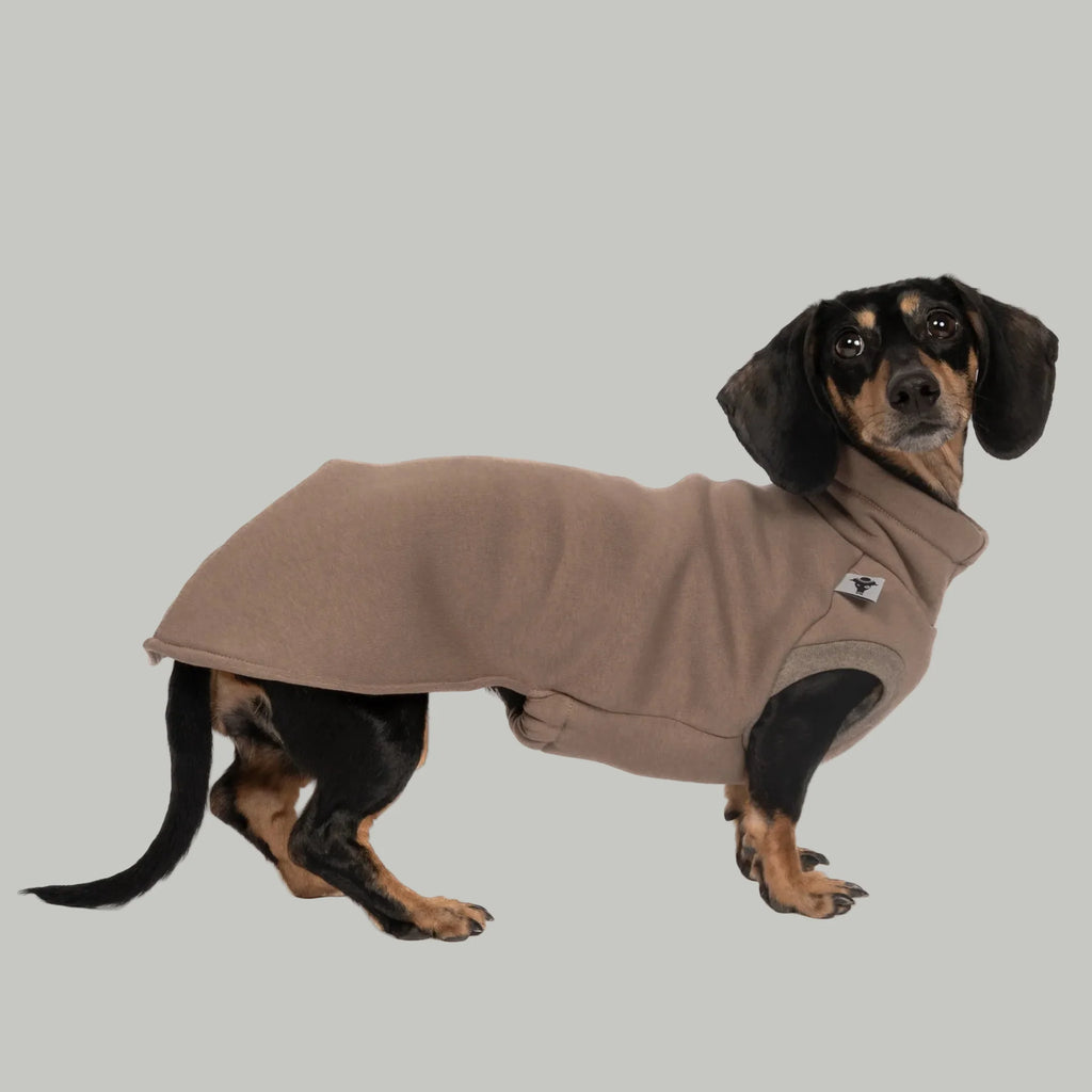 Karma Hund Sweatshirt DACKEL Braun