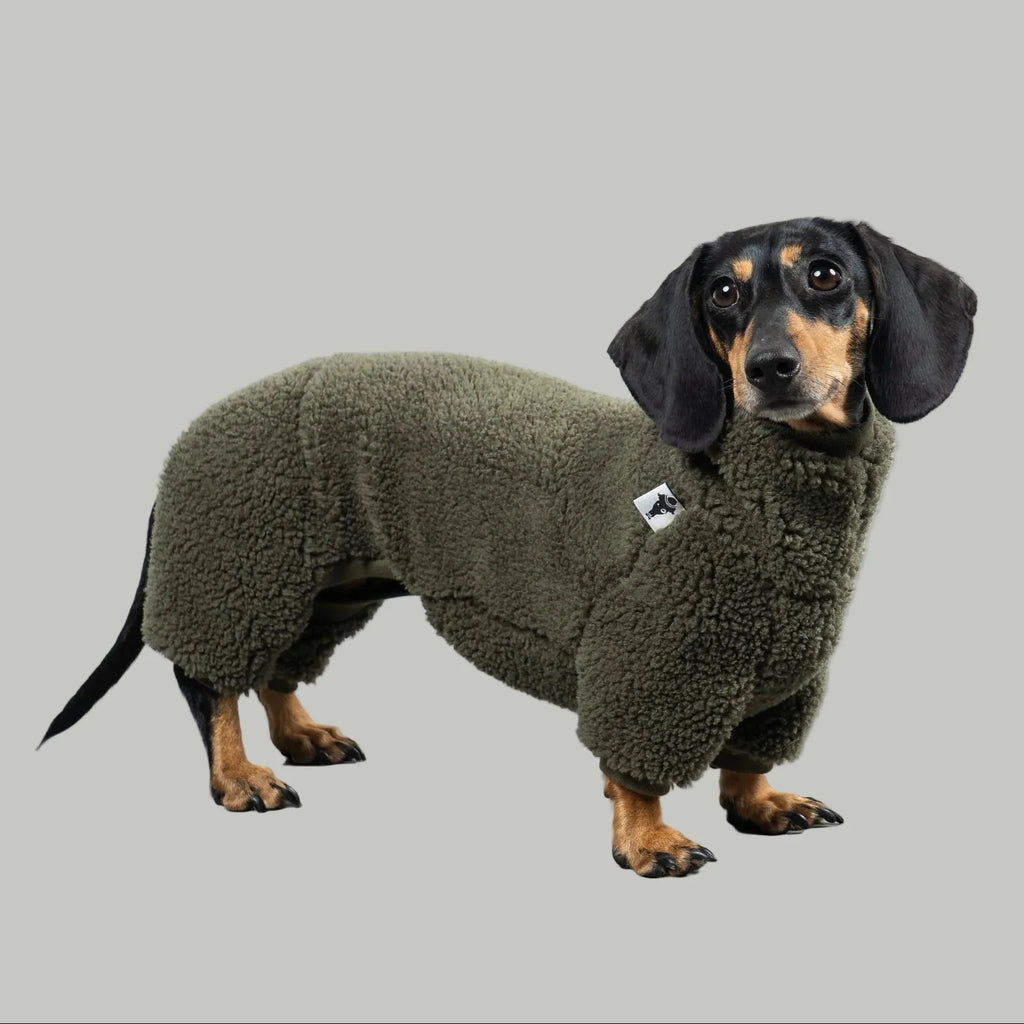 Karma Hund Teddy Overall DACKEL Olivgrün