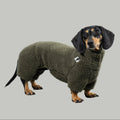 Karma Hund Teddy Overall DACKEL Olivgrün