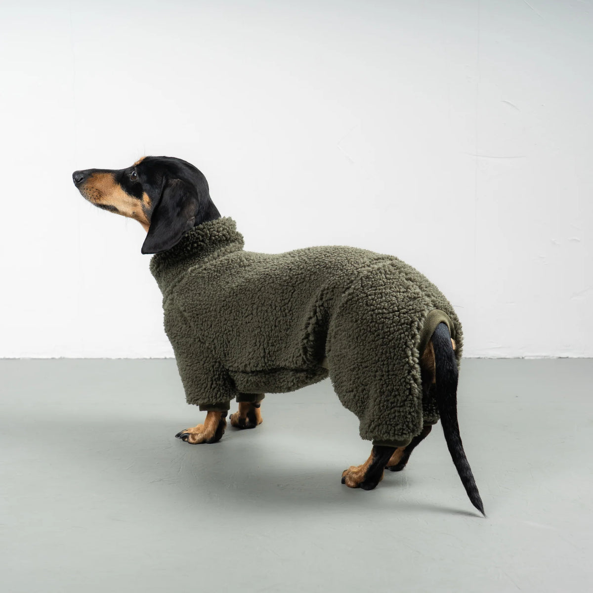 Karma Hund Teddy Overall DACKEL Olivgrün